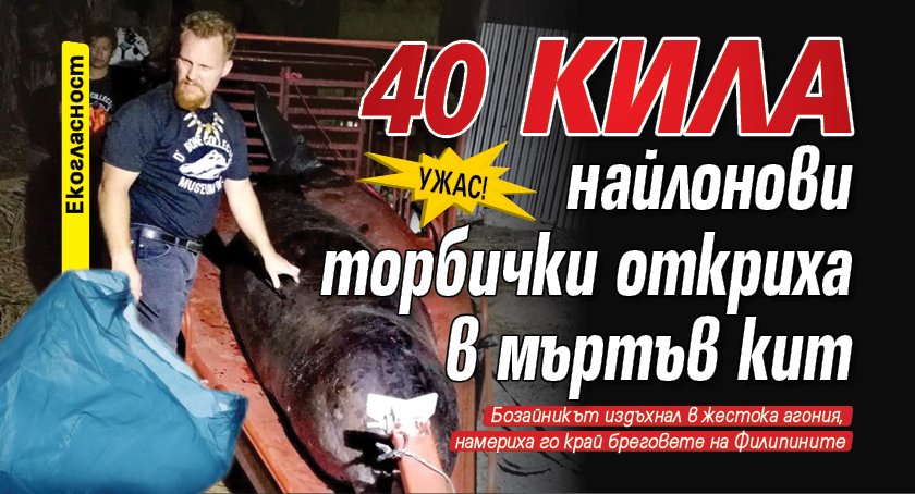 40 кила найлонови торбички откриха в мъртъв кит