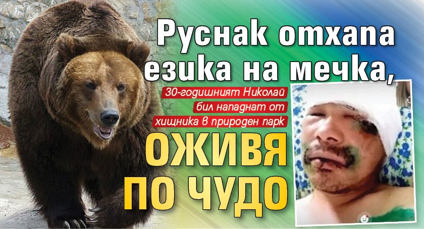 Руснак отхапа езика на мечка, оживя по чудо