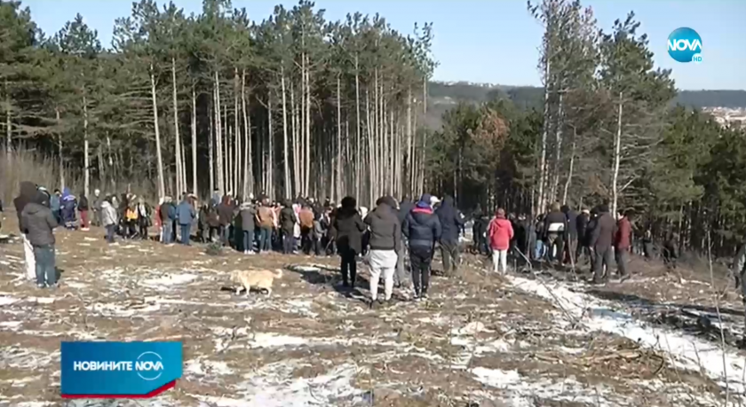 Варненци се вдигнаха на протест срещу изсичане на гора