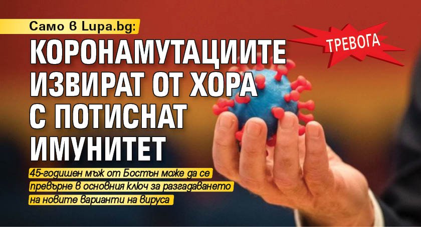 Само в Lupa.bg: Тревога - коронамутациите извират от хора с потиснат имунитет