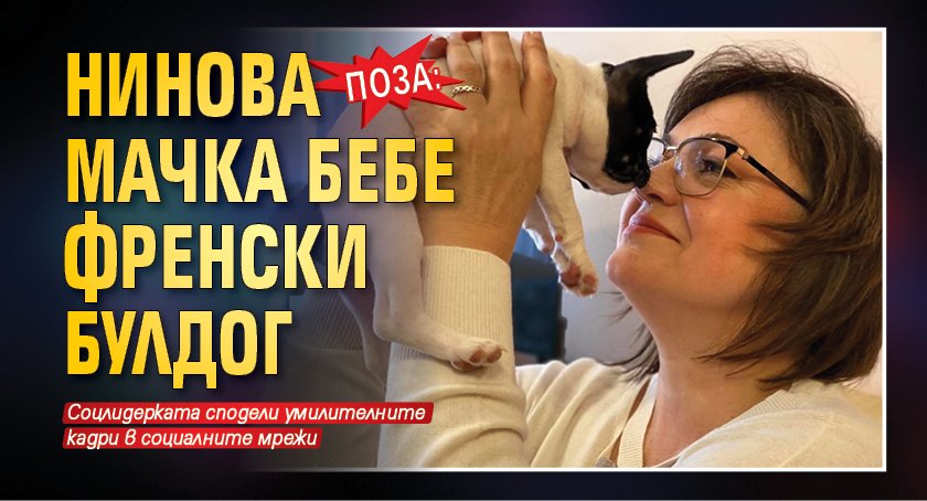 Поза: Нинова мачка бебе френски булдог