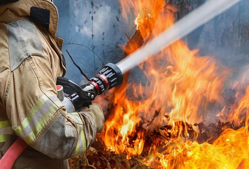 ТРАГЕДИЯ: Старица изгоря в пожар