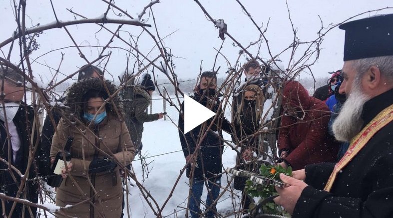 Деси Танева заряза лозето в метър сняг