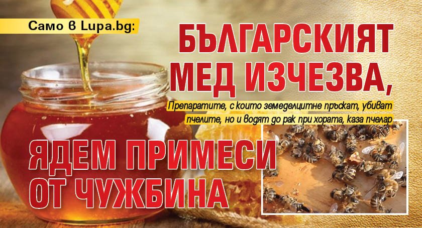 Само в Lupa.bg: Българският мед изчезва, ядем примеси от чужбина