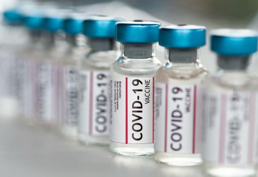 Франция тества ваксина от свински антитела