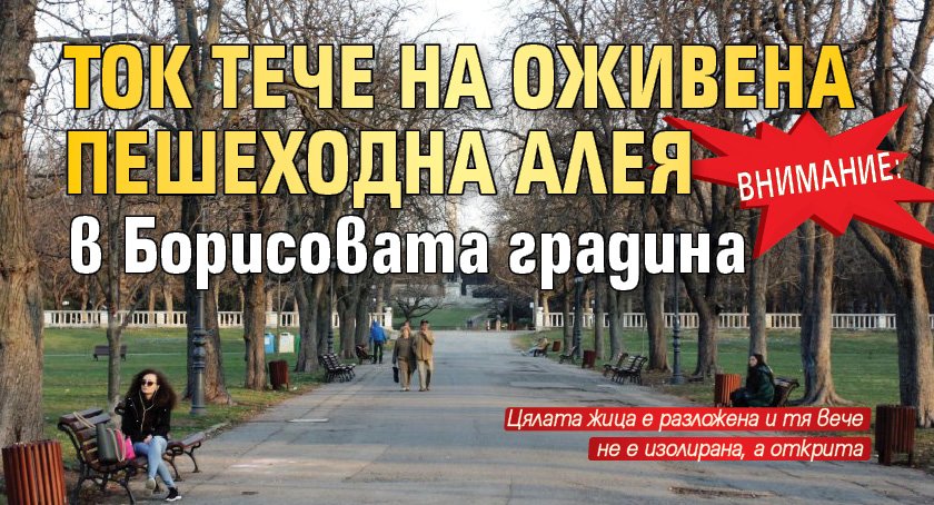 ВНИМАНИЕ: Ток тече на оживена пешеходна алея в Борисовата градина 