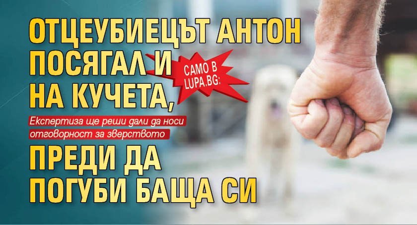 Само в lupa.bg: Отцеубиецът Антон посягал и на кучета, преди да погуби баща си