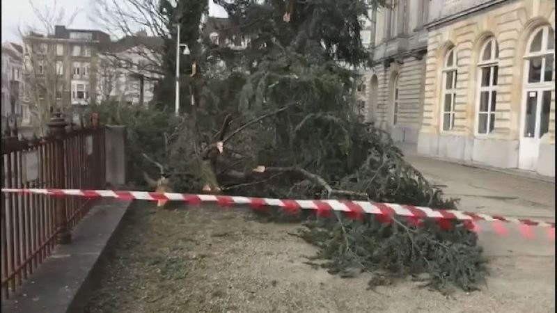 Силна буря взе жертва в Белгия