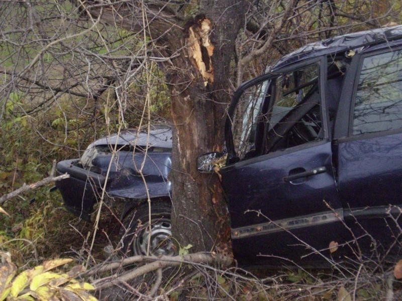 Млад шофьор загина след жесток удар в дърво край Русе