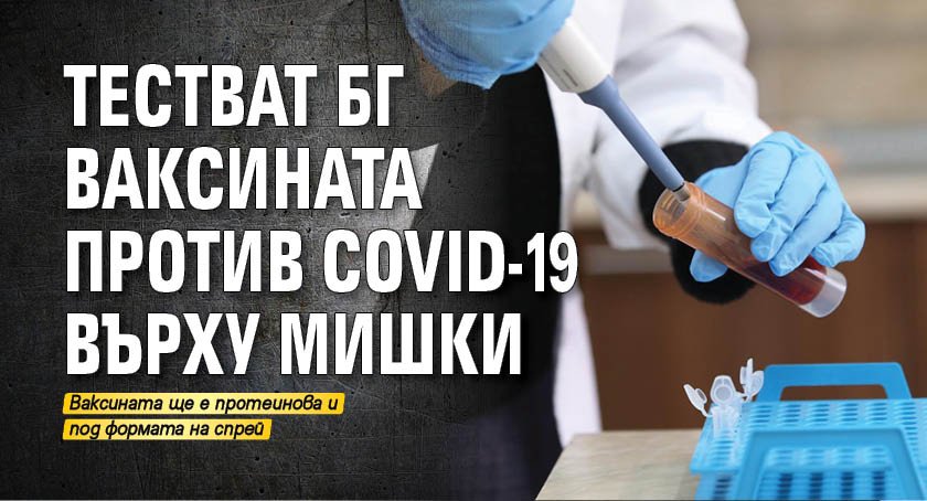 Тестват БГ ваксината против COVID-19 върху мишки