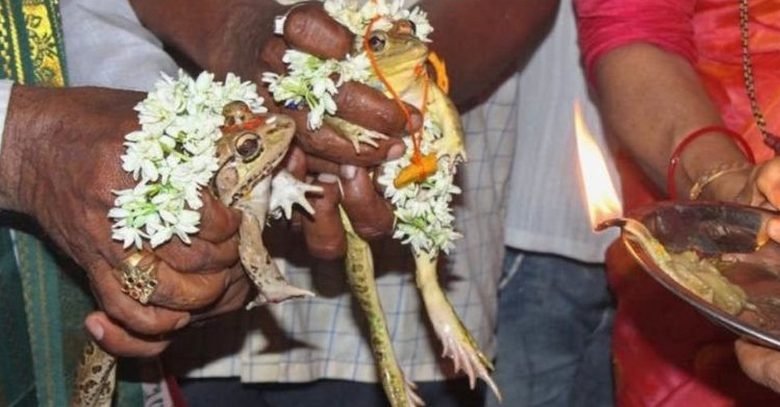 Стотици индийци празнуват жабешка сватба