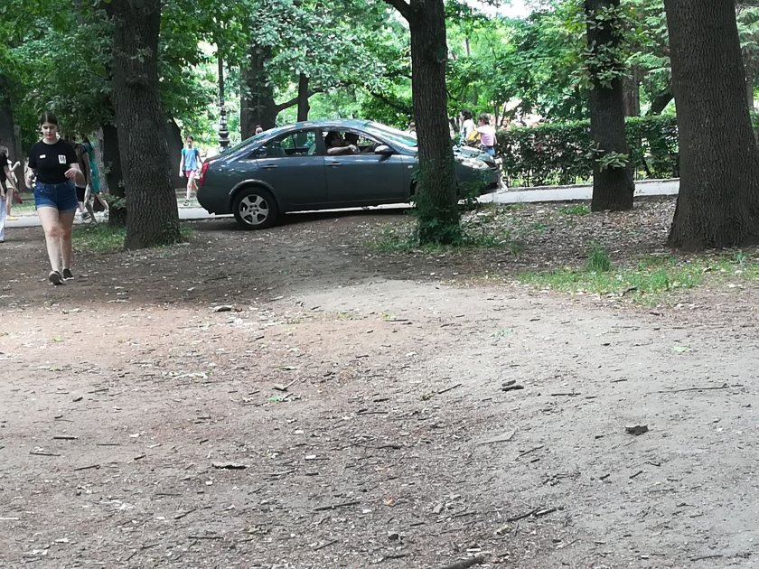 Скандал в Lupa.bg: Дипломатически коли орат тревните площи в Борисовата градина (СНИМКИ)