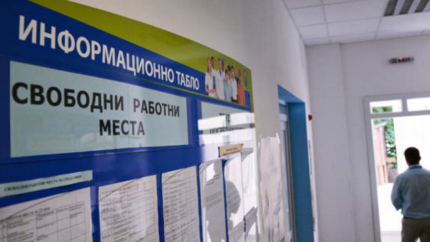 Средно шестима безработни се състезават за свободно работно място