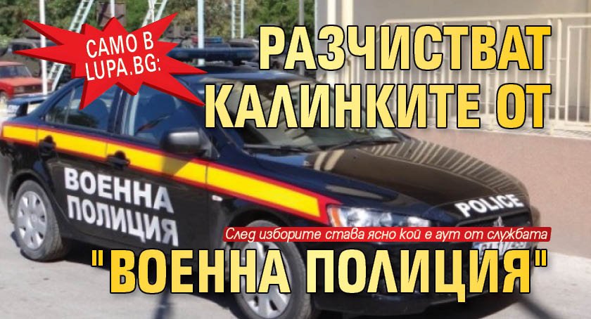 Само в Lupa.bg: Разчистват калинките от "Военна полиция"