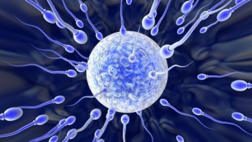 По-малко донори на сперма в Швеция заради пандемията