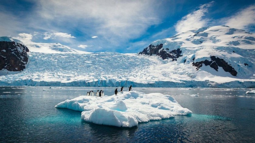 Уникална находка на учените в Антарктида