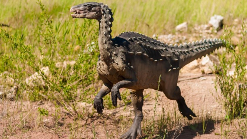 Китайци откриха неизвестен досега динозавър