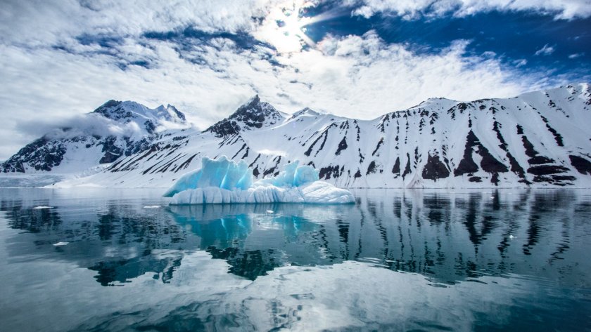 Любопитни факти за Антарктида