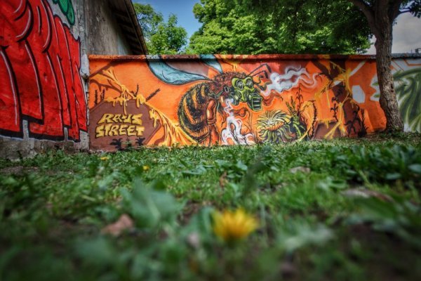 Нарисуваха 30-метрова стена на пчелите в София