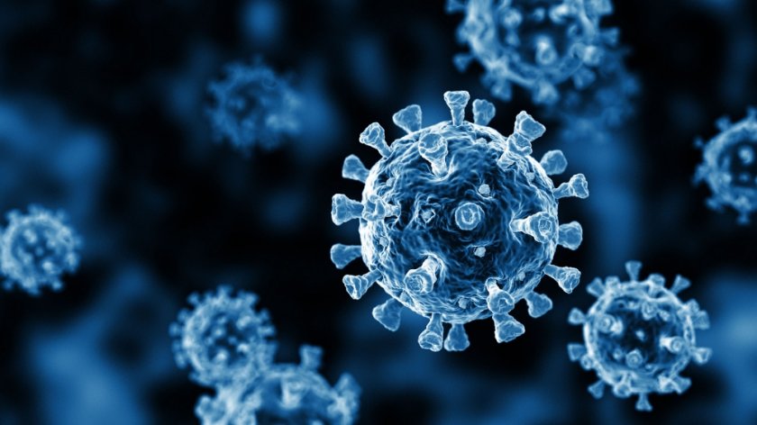 Учени: Имаме антитела до 8 месеца след Ковид