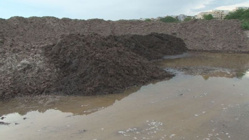 Изхвърлят тонове водорасли и боклуци в бургаския кв. "Сарафово"