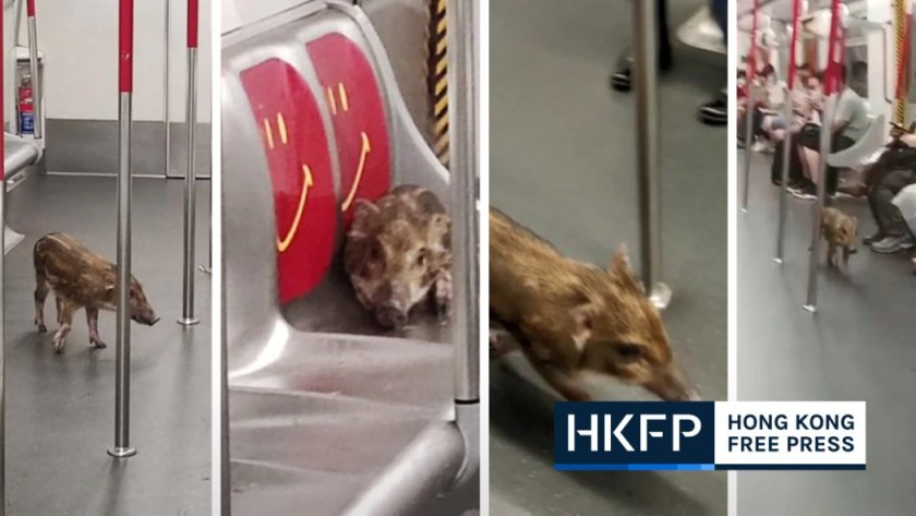 Нарушител: Глиган нахлу в метрото в Хонконг