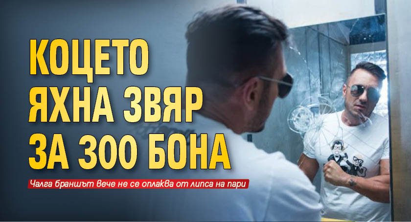 Коцето яхна звяр за 300 бона