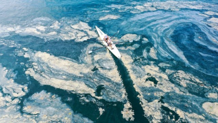 Забраняват риболова заради „морските сополи“