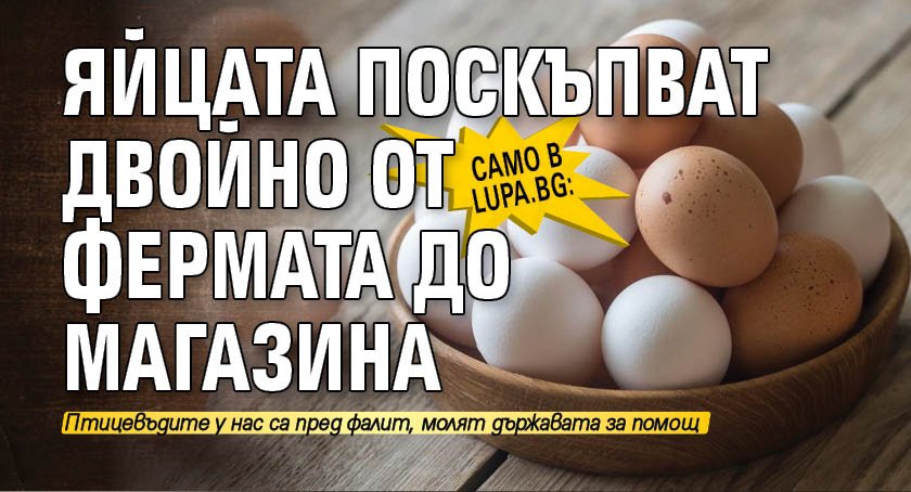 Само в Lupa.bg: Яйцата поскъпват двойно от фермата до магазина