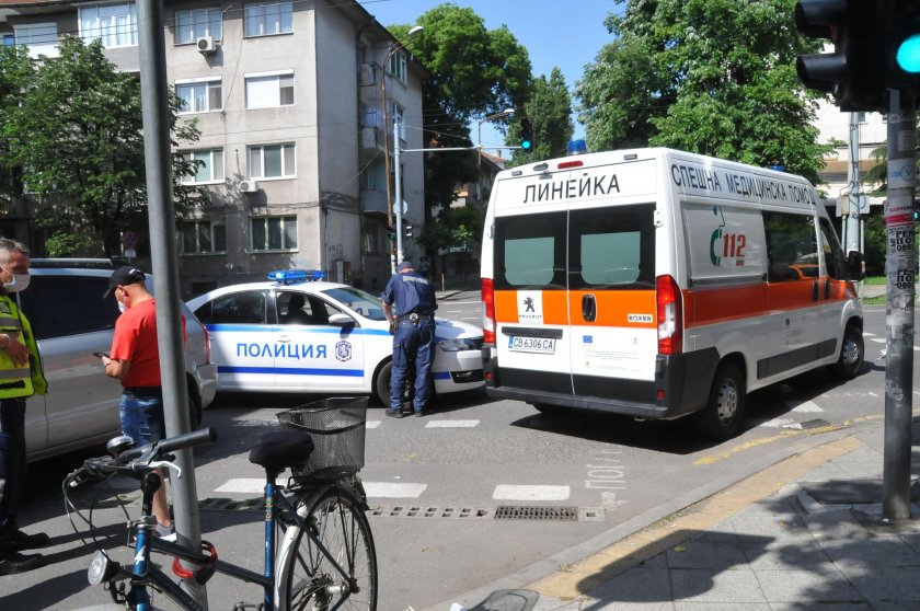 Потрес: Шофьорка с условна присъда за убийство на зебра