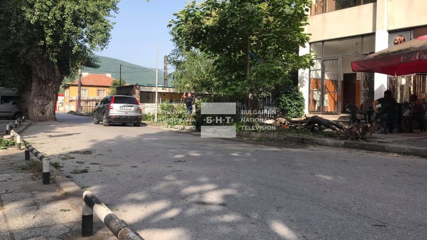 Дете пострада след удар на кола в дърво в село Устина