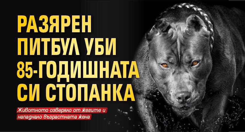 Разярен питбул уби 85-годишната си стопанка