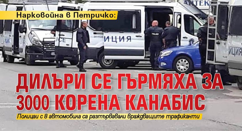 Нарковойна в Петричко: Дилъри се гърмяха за 3000 корена канабис 
