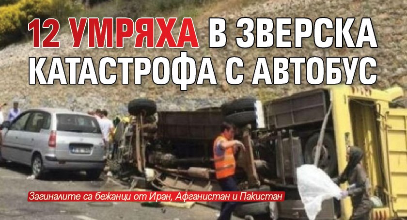 12 умряха в зверска катастрофа с автобус