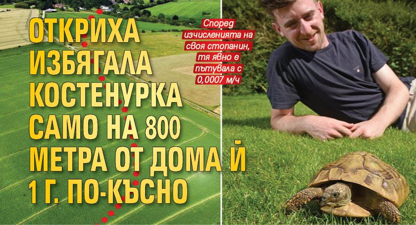 Откриха избягала костенурка само на 800 метра от дома й 1 г. по-късно