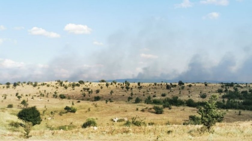 Нов горски пожар пламна в Сакар