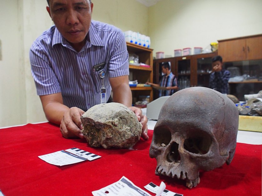 В Индонезия откриха останки на най-древния човек