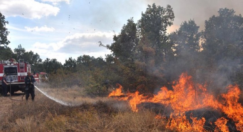 Пожар захапа 2 хил. дка гора в Хасковско