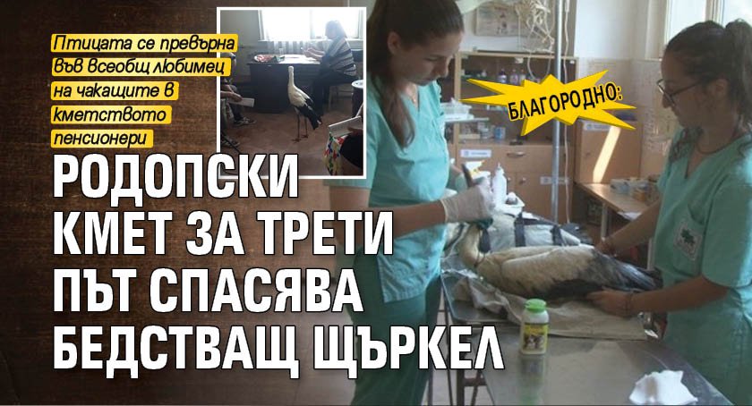 Благородно: Родопски кмет за трети път спасява бедстващ щъркел