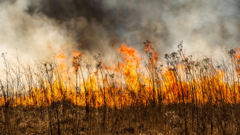 Локализираха пожарите край Пернишко и Кюстендилско, молят се да няма вятър