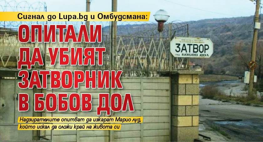 Сигнал до Lupa.bg и Омбудсмана: Опитали да убият затворник в Бобов дол