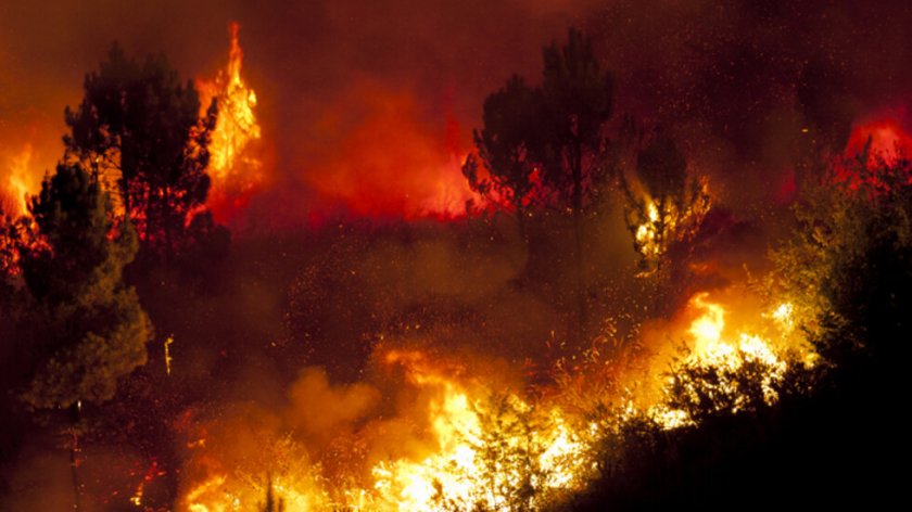 Заради пожари: Забраниха горските излети в РС Македония