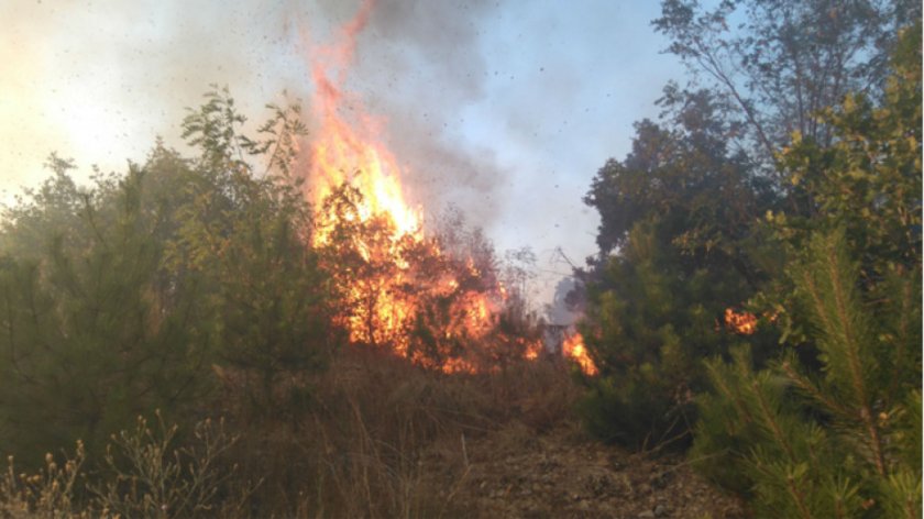 Нов голям пожар избухна край Хисаря