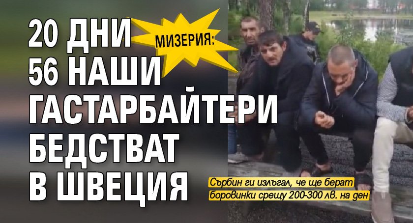 Мизерия: 20 дни 56 наши гастарбайтери бедстват в Швеция