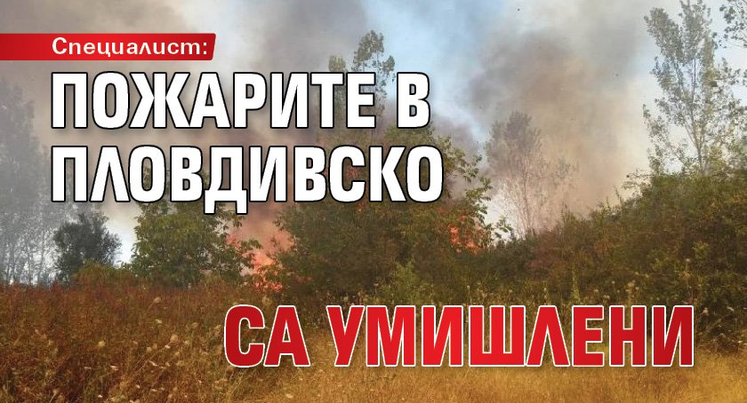 Специалист: Пожарите в пловдивско са умишлени