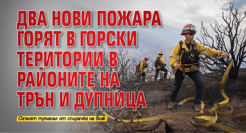 Два нови пожара горят в горски територии в районите на Трън и Дупница