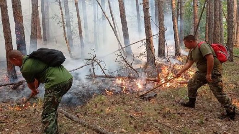 Огнената стихия в Родопите: Военни и техника се включват в гасенето на пожара над Югово