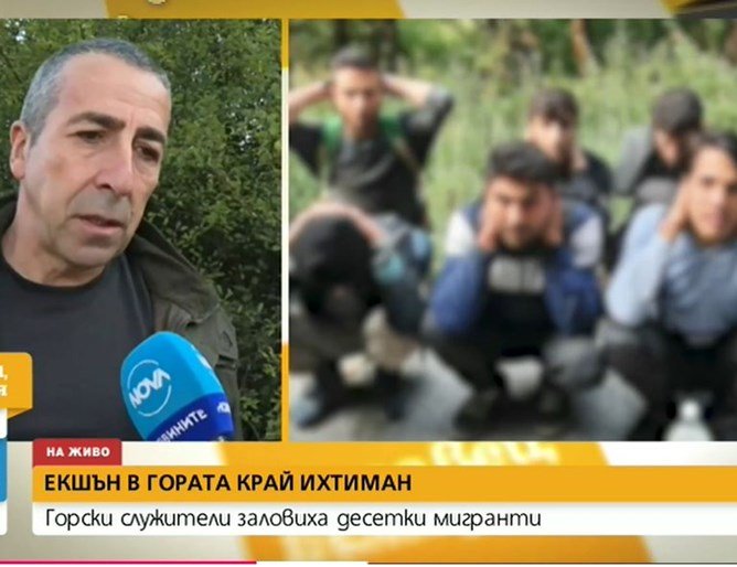 Бежанци от Афганистан скрити в ловно стопанство над Ихтиман