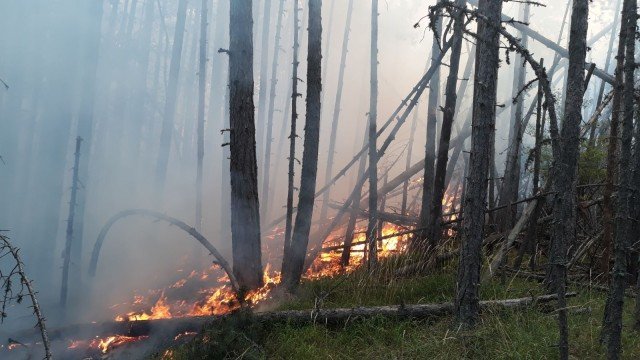 Кошмар: Пожарът над Югово пак се разрасна 