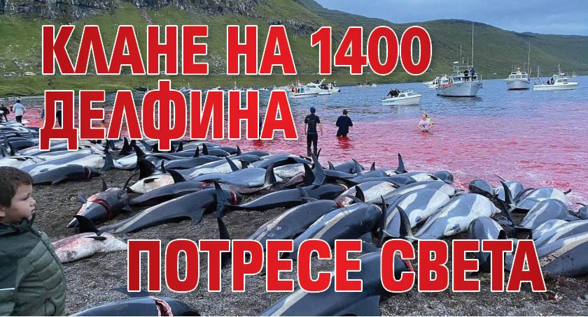 Клане на 1400 делфина потресе света